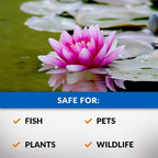 Crystalclear Algae D-Solv Epa Registered Pond Algaecide, 1 Gallon | Fast-Acting Algae Control For Fountains & Outdoor Ponds Containing Koi & Other Fish, 1 Gal Treats 46,080 Gallons.