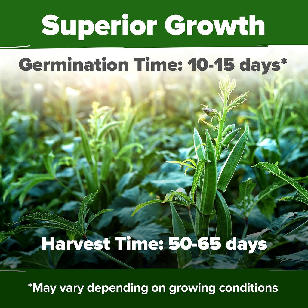 Home Grown Clemson Spineless Okra Seeds 101+ Heirloom Non-Gmo Vegetable Seeds For Planting, Easy To Grow Summer Garden, High Germination, Heat Tolerant, Tender Green Pods (Abelmoschus Esculentus)