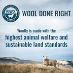 Men'S Merino Boxers By Woolly | Rws Certified | Soft, Stink Free, Seattle Designed