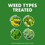 Spectracide Weed & Feed 20-0-0, 3 Count, Easy To Use Quickflip Sprayer, Kills Weeds While Feeding Your Lawn, Kills Major Broadleaf Weeds Like Dandelion, Chickweed, Clover And Plantain
