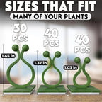 110 Pcs Self-Adhesive Climbing Plant Wall Clips For Vines (Green) | Adhesive Plant Clips For Climbing Plants, Pothos, And Ivy; 40 Small, 40 Medium, 30 Large Sizes In Set; For Indoor & Outdoor