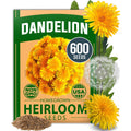 Home Grown Dandelion Seeds For Planting 600 Heirloom Medicinal Herb Seeds (~0.3G) Non Gmo Grow Edible Leaves And Flowers For Remedies Or Wildlife (Taraxacum Officinale)