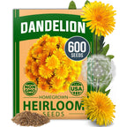 Home Grown Dandelion Seeds For Planting 600 Heirloom Medicinal Herb Seeds (~0.3G) Non Gmo Grow Edible Leaves And Flowers For Remedies Or Wildlife (Taraxacum Officinale)