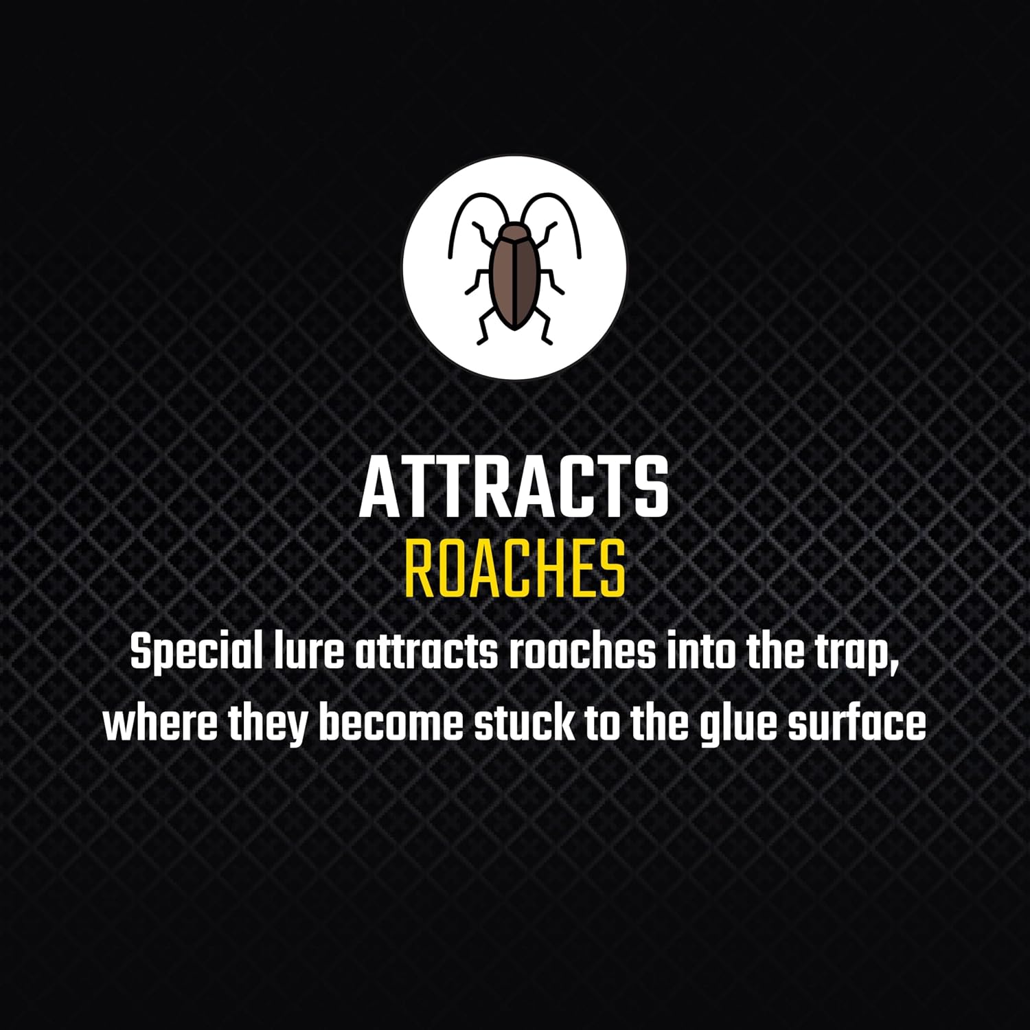 Black Flag Roach Motel Traps, 2-Count, 1-Pack