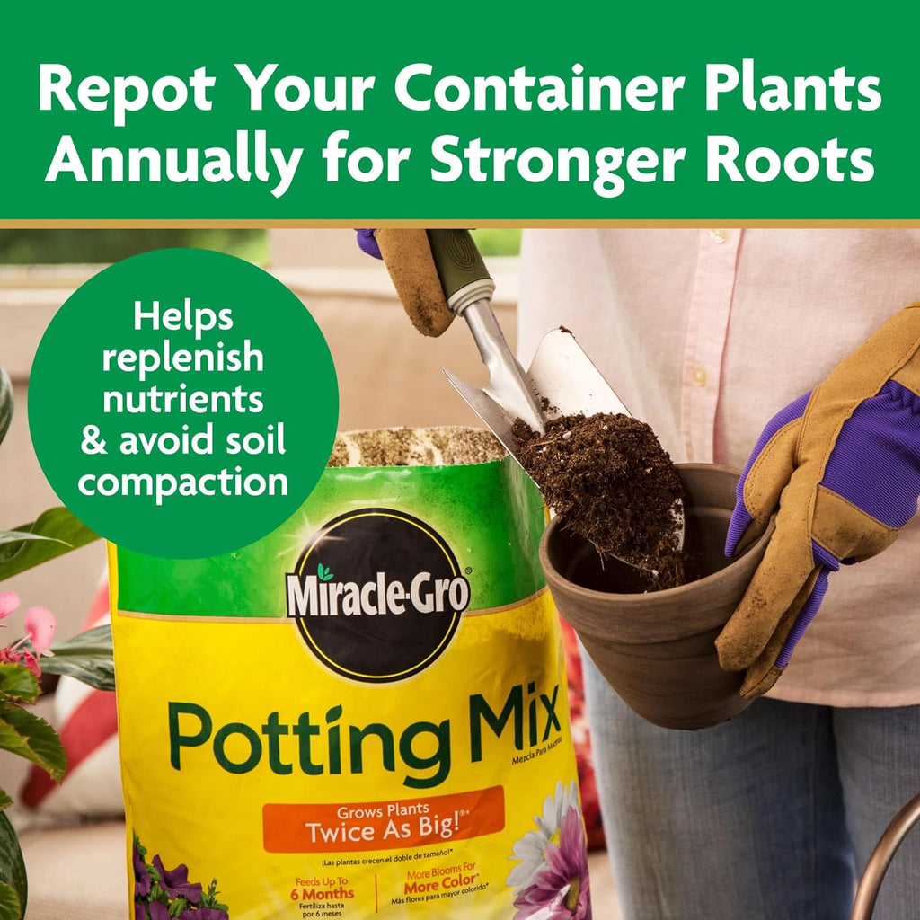 Miracle-Gro Potting Mix, 16 Qt. (2-Pack) | For Container Plants, Flowers, Vegetables, Shrubs, Annuals, Perennials, Potting Soil Mix, Feeds Up To 6 Months