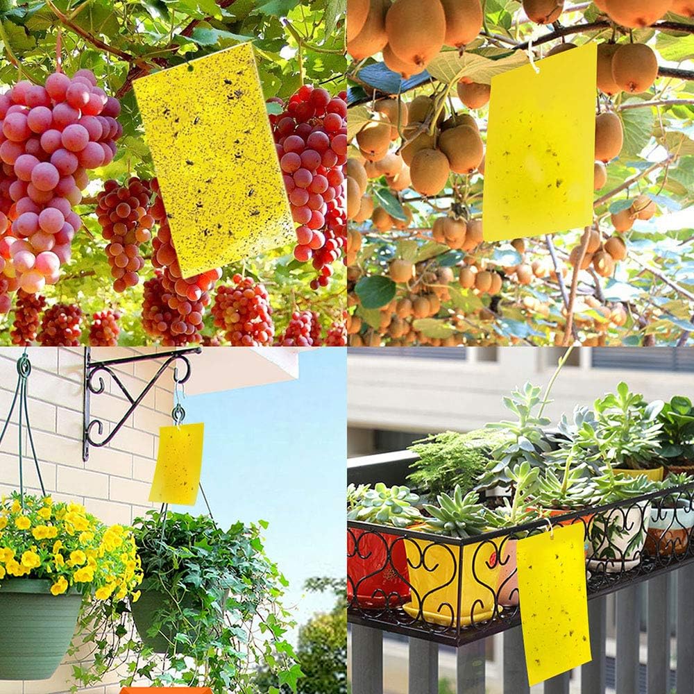 Kensizer 20-Pack Fruit Fly Trap, Yellow Sticky Gnat Traps, 6X8 In | For Indoor/Outdoor, Flying Plant Insect Killer, Fungus Gnats, Whiteflies, Aphids, Leaf Miners, Twist Ties Included