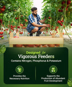 Foxfarm Happy Frog Tomato & Vegetable Fertilizer - Vegetable Fertilizer For Vigorous Feeders, 5-7-3 Blend With Calcium & Mycorrhizal Fungi, Supports Abundant Fruit Development, 4 Lb