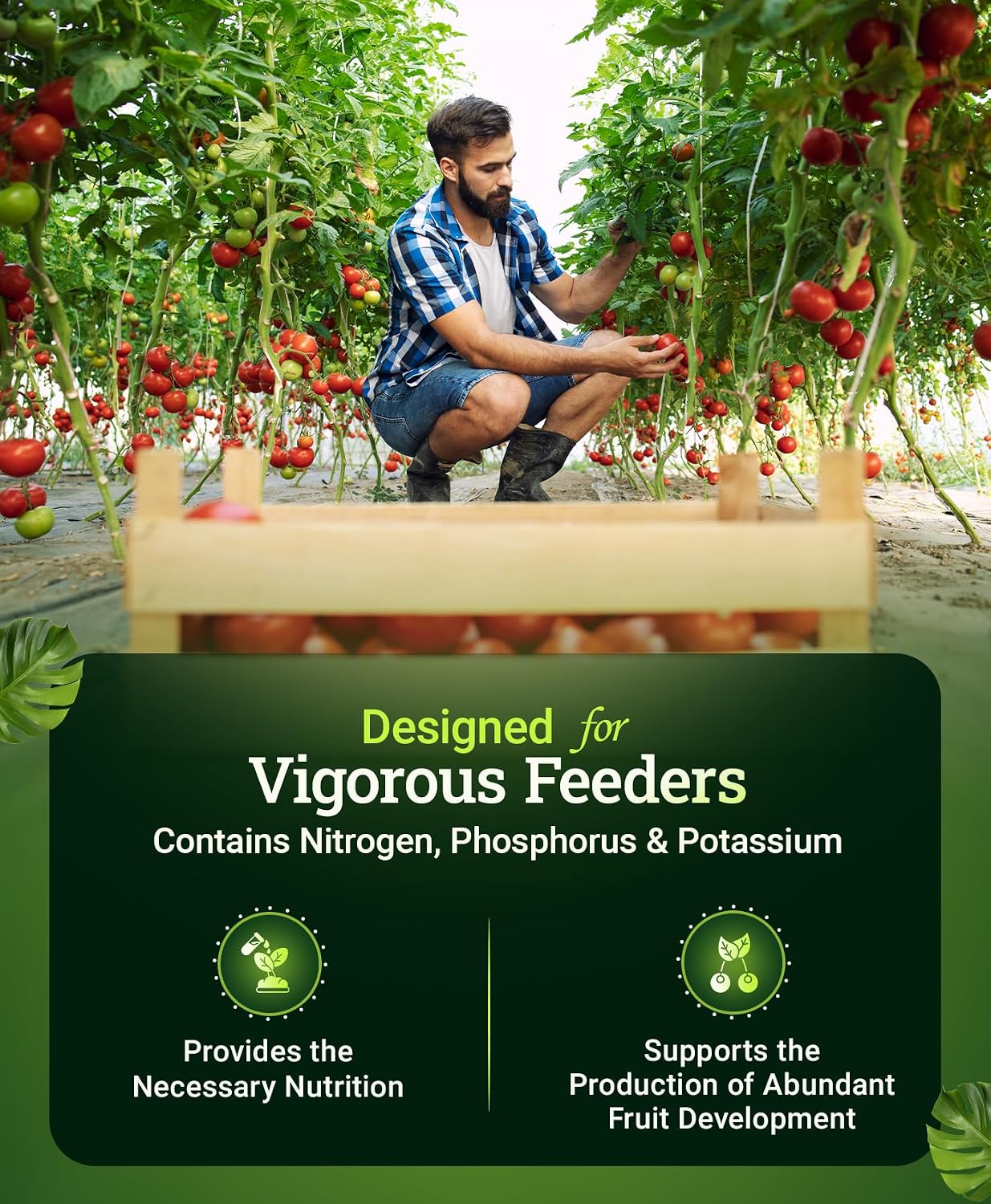 Foxfarm Happy Frog Tomato & Vegetable Fertilizer - Vegetable Fertilizer For Vigorous Feeders, 5-7-3 Blend With Calcium & Mycorrhizal Fungi, Supports Abundant Fruit Development, 4 Lb