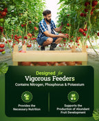 Foxfarm Happy Frog Tomato & Vegetable Fertilizer - Vegetable Fertilizer For Vigorous Feeders, 5-7-3 Blend With Calcium & Mycorrhizal Fungi, Supports Abundant Fruit Development, 4 Lb
