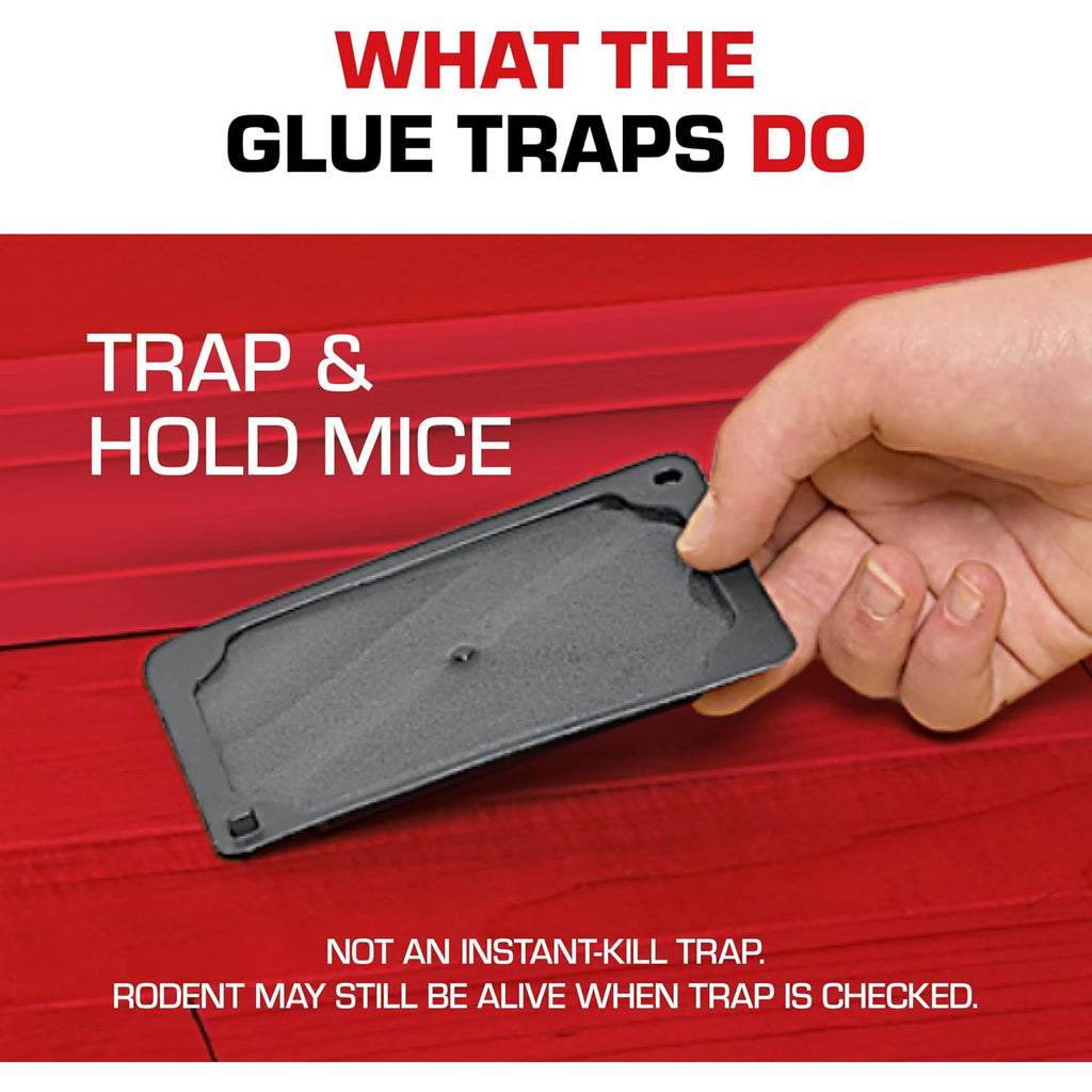Tomcat Glue Traps Mouse Size With Eugenol For Enhanced Stickiness, 6 Traps | Sticky Pads For Mice, Cockroaches, And Spiders