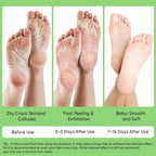 Aloe Vera Foot Peeling Mask, Baby Feet Exfoliating Peel for Dead Skin Removal& Moisturizing Care, Dry Cracked Heels Relief, Softening Rough Feet Spa Socks, 3 Pairs Pack(Unisex)