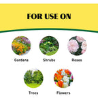 Ironite Plus Shrubs, Trees Plant Food Bag Granular 12-10-10 3Lb