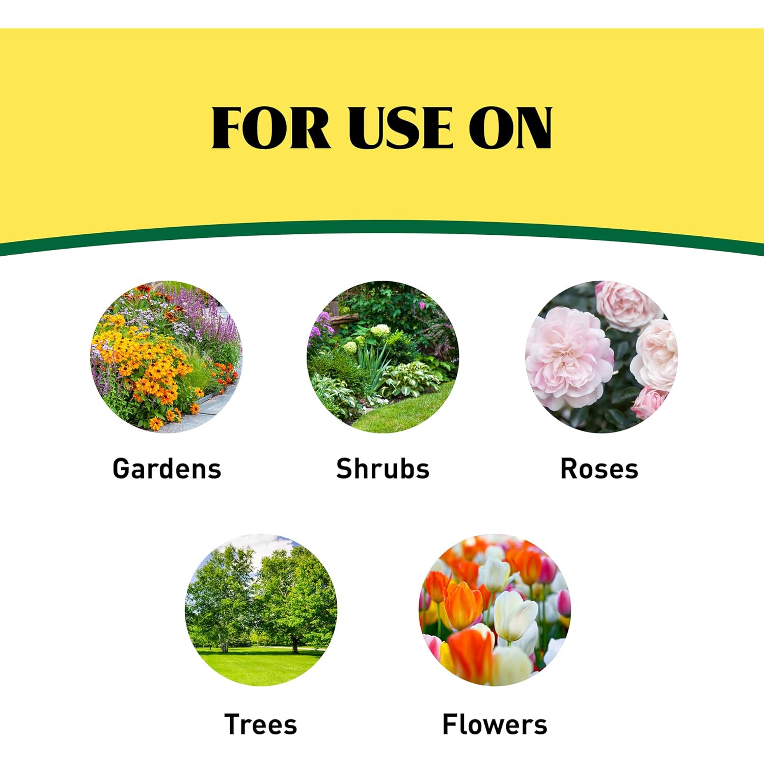 Ironite Plus Shrubs, Trees Plant Food Bag Granular 12-10-10 3Lb