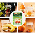 Lfsys Fruit Fly Traps For Indoors – 25 Pack Diy Cup Cover Adhesive Cards For Fruit Fly – Clear, Mess-Free, Indoor Use