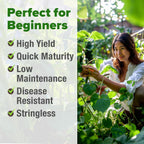 Home Grown Contender Bush Bean Seeds 28+ Heirloom Non-Gmo, High Germination, Stringless Green Beans For Planting, Early Harvest, Emergency Food Supply, Fresh Eating & Canning (Phaseolus Vulgaris)