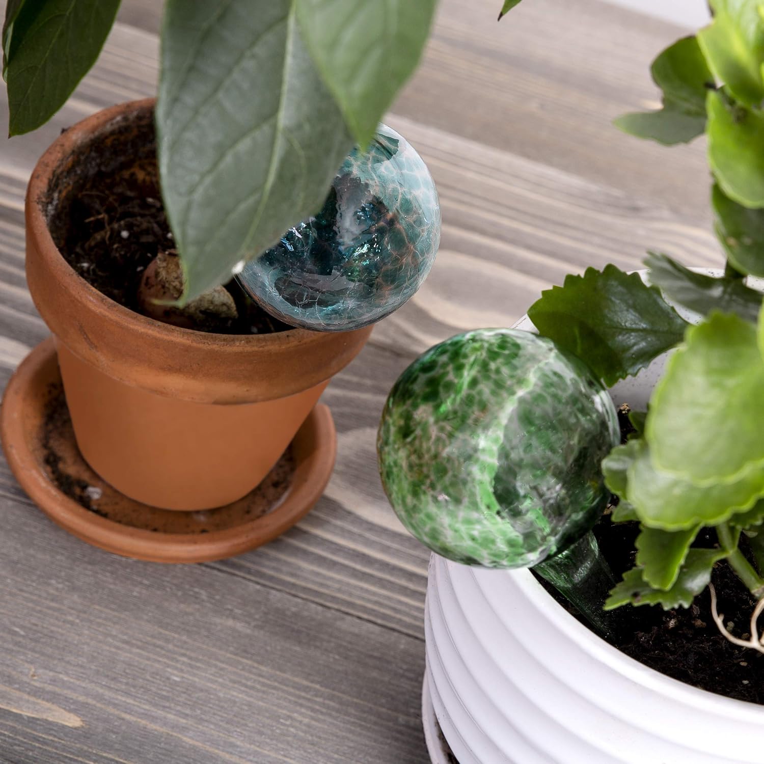 Besti Large Self Watering Globes For Plants (6-Pack) Waters Greenery Up To 2 Weeks Hands Free | Durable, Multicolored Glass Craftsmanship | Indoor And Outdoor Use - Measures 12” X 3.5”