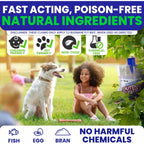 Fly Traps Outdoor Fly Trap For Patio. 4 Large Non-Toxic Pre-Baited Flies Bags Outdoor Disposable. Big Hanging Bug Catchers For All Filth Flies Killer For Outside Bug Control In Yard Horse Ranch.