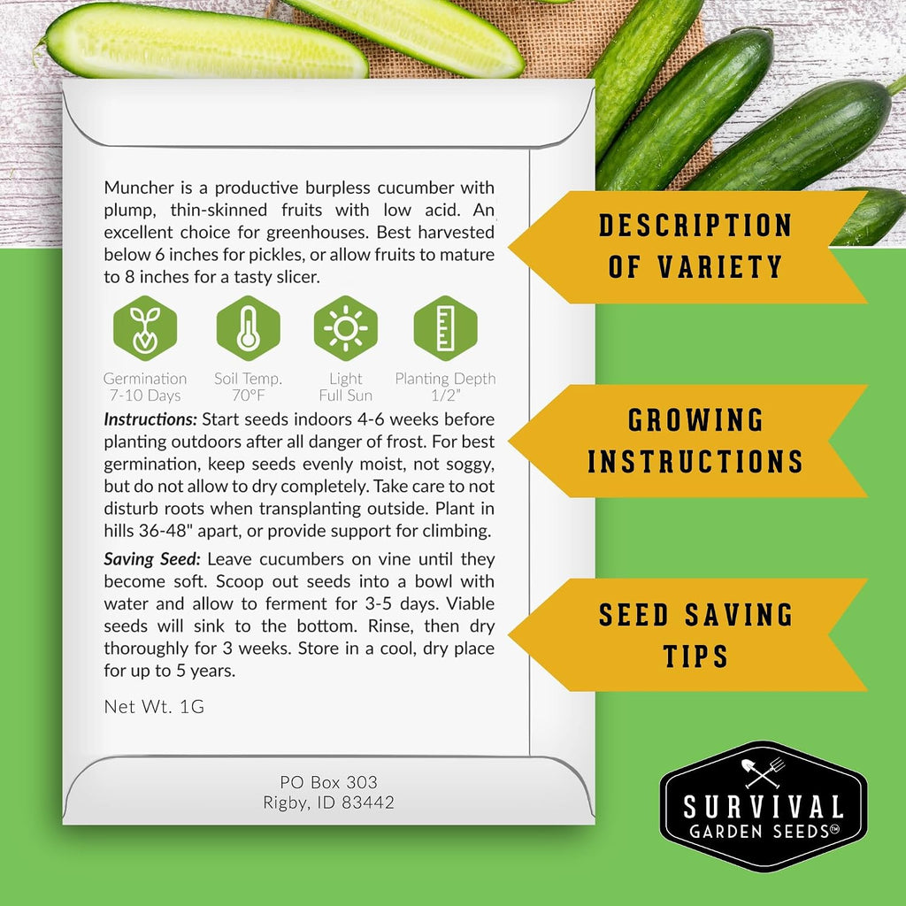 Muncher Cucumber Seeds For Planting - Low-Acid Slicing Cucumbers (1 Pack) | Burpless Heirloom Variety With Smooth Skin - Summer Crop For Gardens And Containers - Survival Garden Seeds