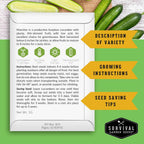 Muncher Cucumber Seeds For Planting - Low-Acid Slicing Cucumbers (1 Pack) | Burpless Heirloom Variety With Smooth Skin - Summer Crop For Gardens And Containers - Survival Garden Seeds