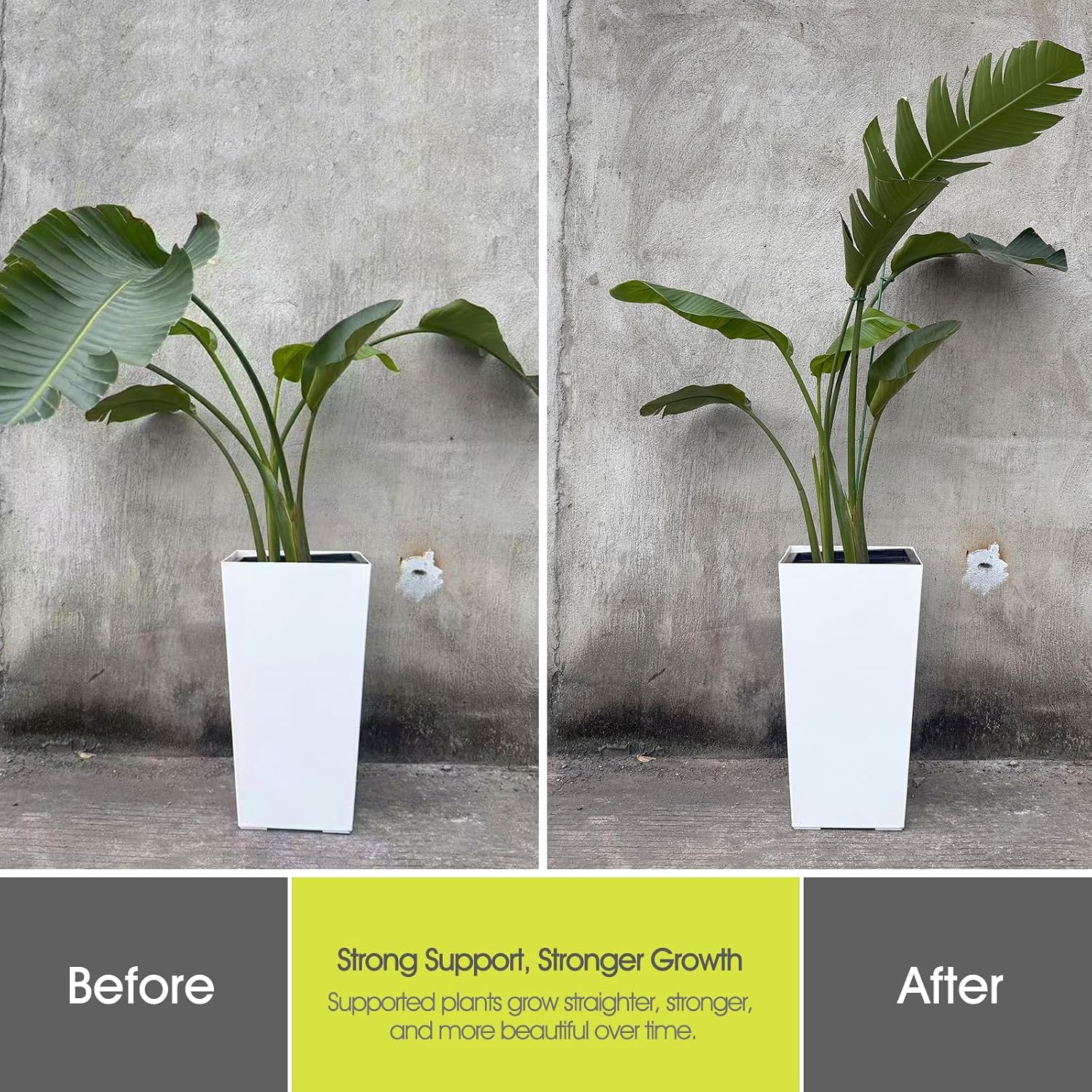 Rifny Plant Stakes For Indoor Plants, 14 Inch Plant Support Stakes With Clips, Tall Adjustable Plant Sticks For Indoor Monstera Tomato Orchid Potted Plants Flower (6 Pcs, Green)
