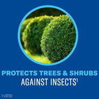 Bioadvanced Tree & Shrub Insect Killer Spray - Outdoor Pest Control - 32 Oz | Ready-To-Spray - Kills On Contact - Rainproof In 1 Hour - Up To 2 Weeks Protection