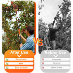 26Ft Reach Fruit Picker Pole With Basket Telescoping, Apple Picker With 5-20Ft Telescoping Pole For Apple Orange Lemon Mango Avocado Guava Fruit Picking
