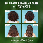 Herbal Essences Argan Oil Repair Shampoo & Conditioner Set, Moisturizes & Smoothes, Paraben-Free, Color-Safe, Ph-Balanced, Citrus Scent, 20.2 Fl Oz, 2-Pack