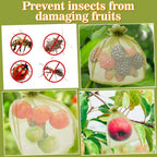 Sukh 50Pcs Fruit Protection Bags - 6"X8" Fruit Cover For Fruit Tree Garden Netting Bag To Protection Mesh Drawstring Organza Bags Green Bags For Fruits, Vegetables Reusable Gift Bag For Jewelry, Candy