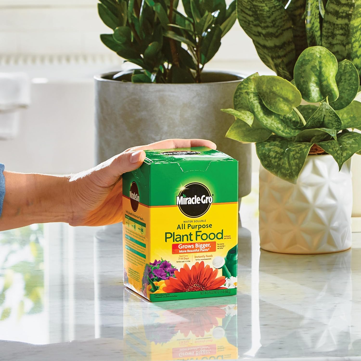 Miracle-Gro Water Soluble All Purpose Plant Food, 1.5 Lbs. | Fertilizer For All Indoor Or Outdoor Plants Including Roses, Flowers, Vegetables, Houseplants, Trees, And Shrubs