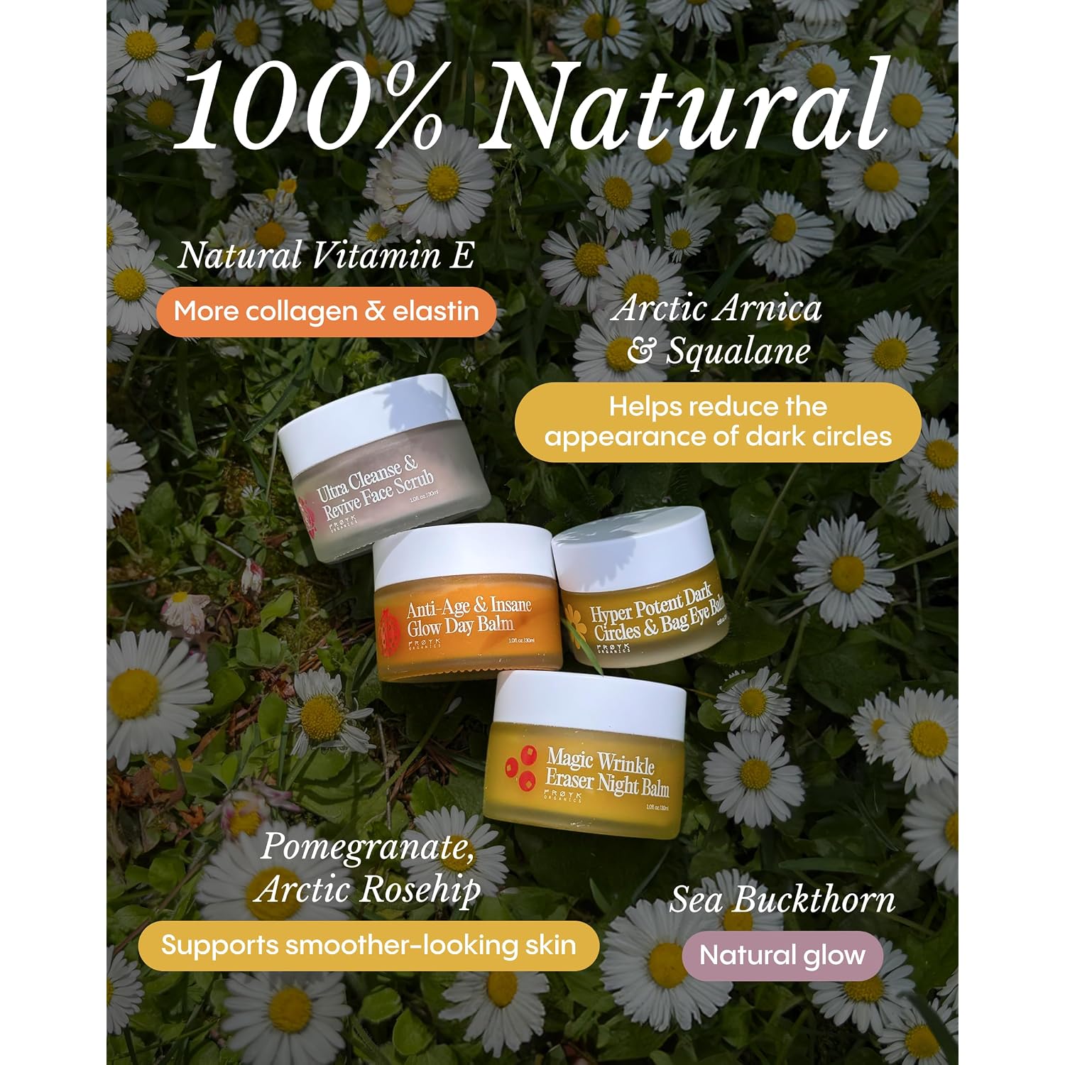 Frøya Organics The Complete System For Mature Women’S Skin | 4-Piece Set With Face Scrub, Day And Night Balm & Eye Balm | With Rosehip, Calendula & Sea Buckthorn | 60 Day Supply