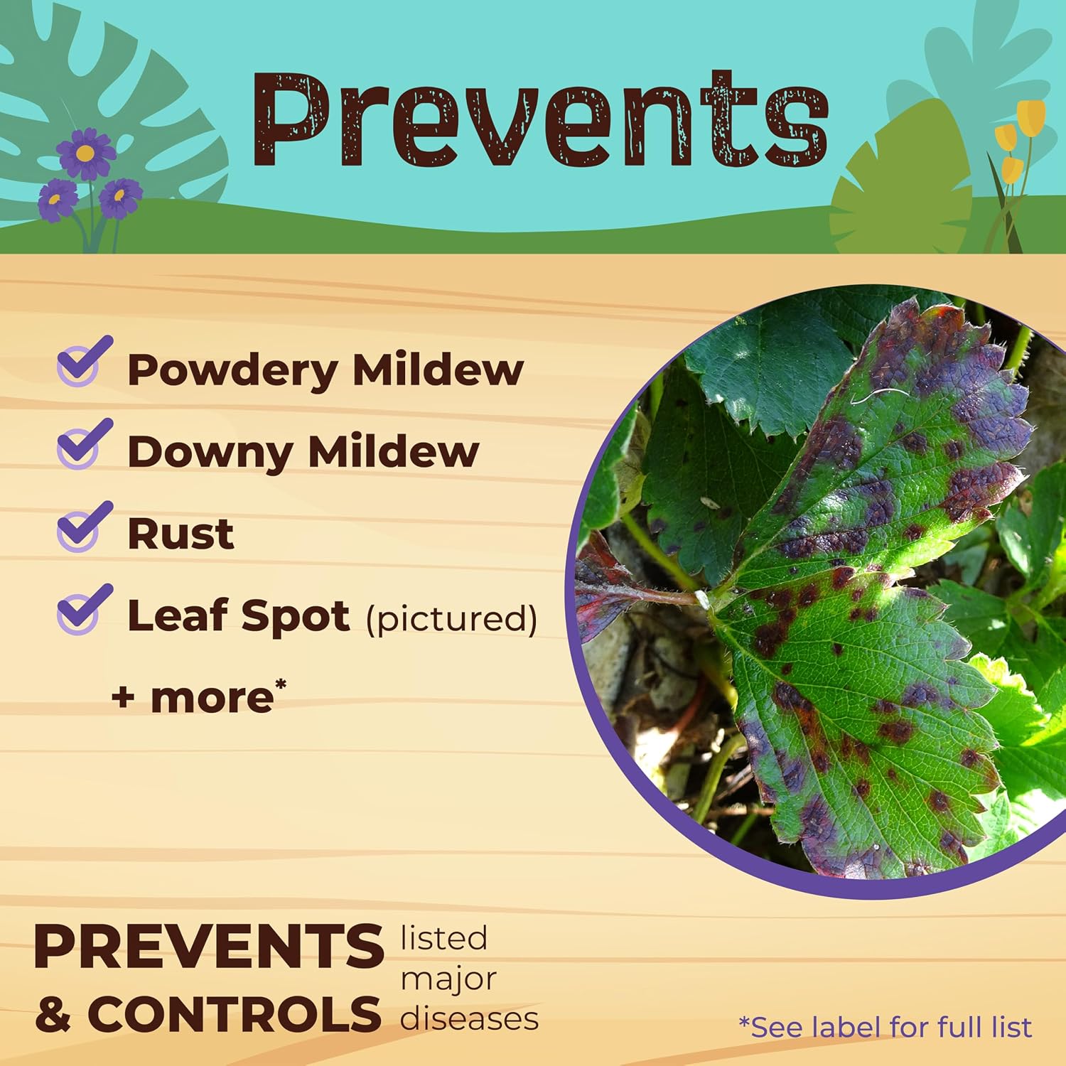Bonide Captain Jack'S Neem Max, 16 Oz Ready-To-Spray Neem Oil | Cold Pressed, Multi-Purpose Insecticide, Fungicide, Miticide And Nematicide, For Organic Gardening