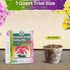 4In1 Orchid Potting Mix For Repotting, Pre-Mixed & Ready To Use, 1Qt | Forest Moss, Pine Bark, Perlite & Pumice, Professional Blend, Drainage & Airflow, Upgraded Formula