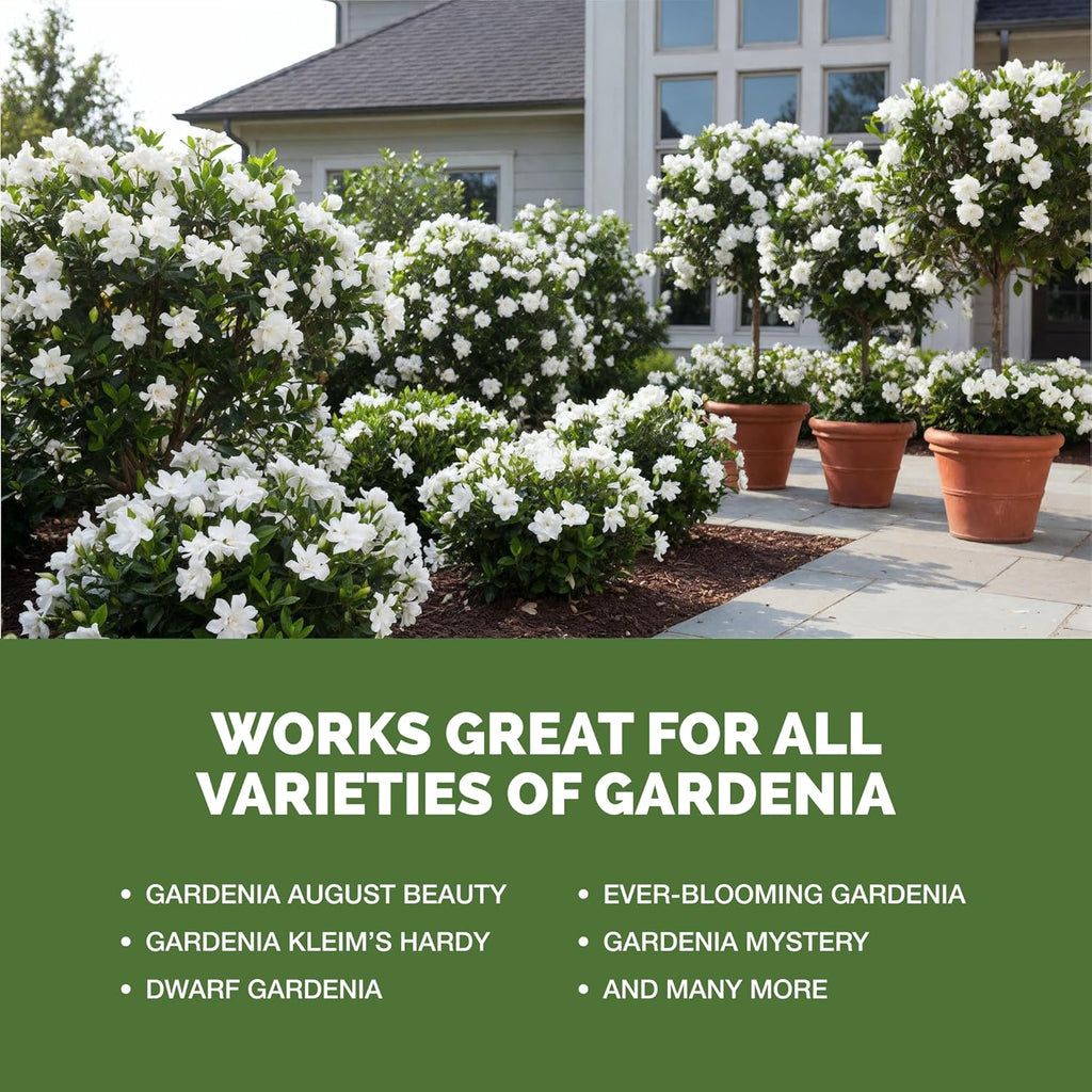 Gardenia Fertilizer – Liquid Plant Food For More Blooms, Rich Green Leaves & Stronger Root Development, 8 Oz