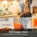 Cold Press Juicer Machine, 5.4" Wide Self-Feeding Chute For Whole Fruits & Vegetables, Masticating Juice Extractor With Large Auger & Triple Strainers, High Juice Yield, Easy To Clean