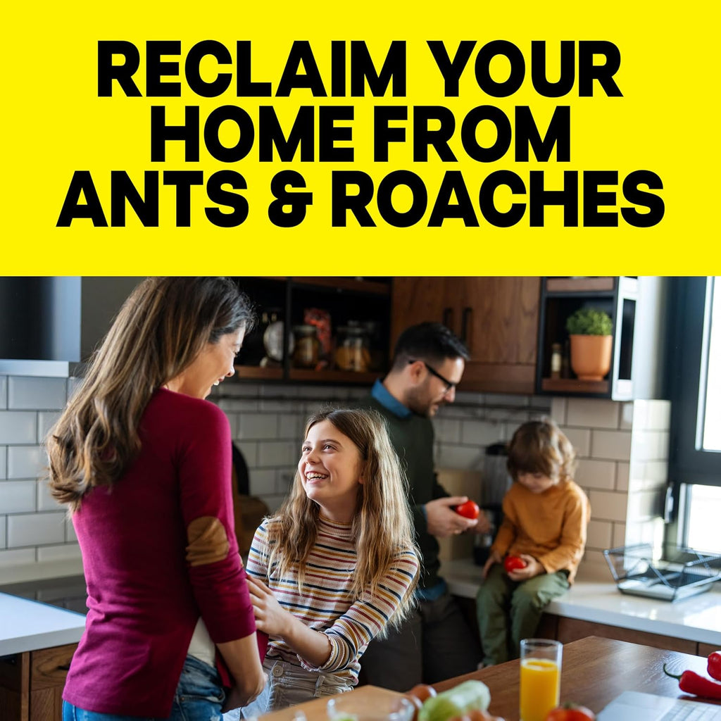 Raid Ant & Roach Killer 26, Fragrance Free Bug Killer For Home Use, Kills Bugs On Contact, Roach And Ant Spray, 17.5 Oz, 2 Count