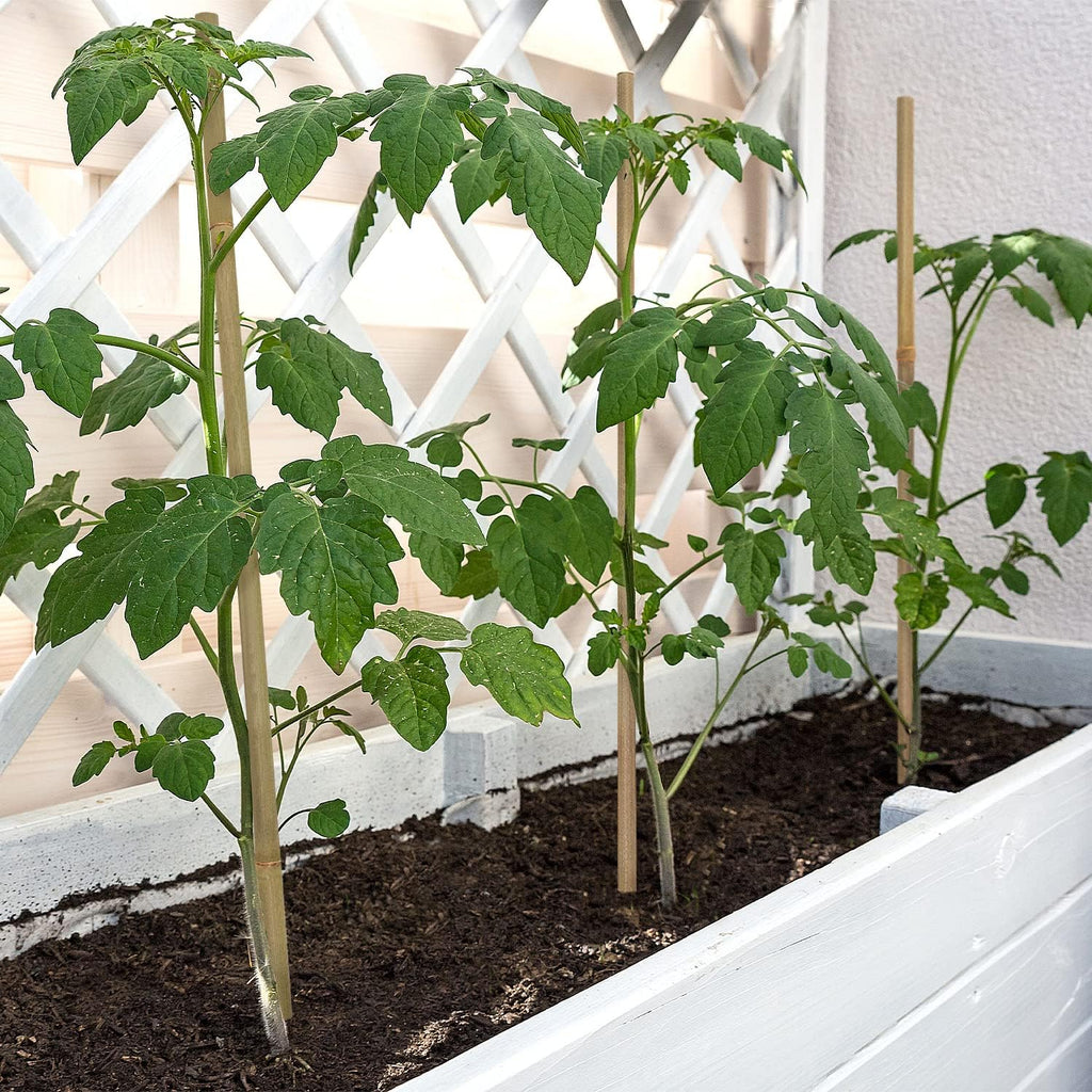 Plant Stakes,18 Inches Natural Garden Bamboo Sticks,Bovitro 20Pcs Plant Support Stakes For Tomatoes,Beans,Vegetable And Potted Plants