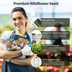 25,000+ Wildflower Seeds Mix 1 Oz, 24 Varieties Perennial & Annual Seeds For Hummingbirds And Butterflies, High Germination Flower Seeds Throw And Grow To Plant Outside, No Filler