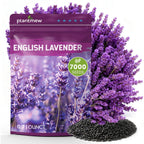 Lavender Seeds For Planting, English Lavender Seeds Indoor & Outdoor, 7000+ Heirloom Seeds, High Germination, Easy To Grow, Fragrant Flowers, Culinary & Crafts (0.7 Oz)