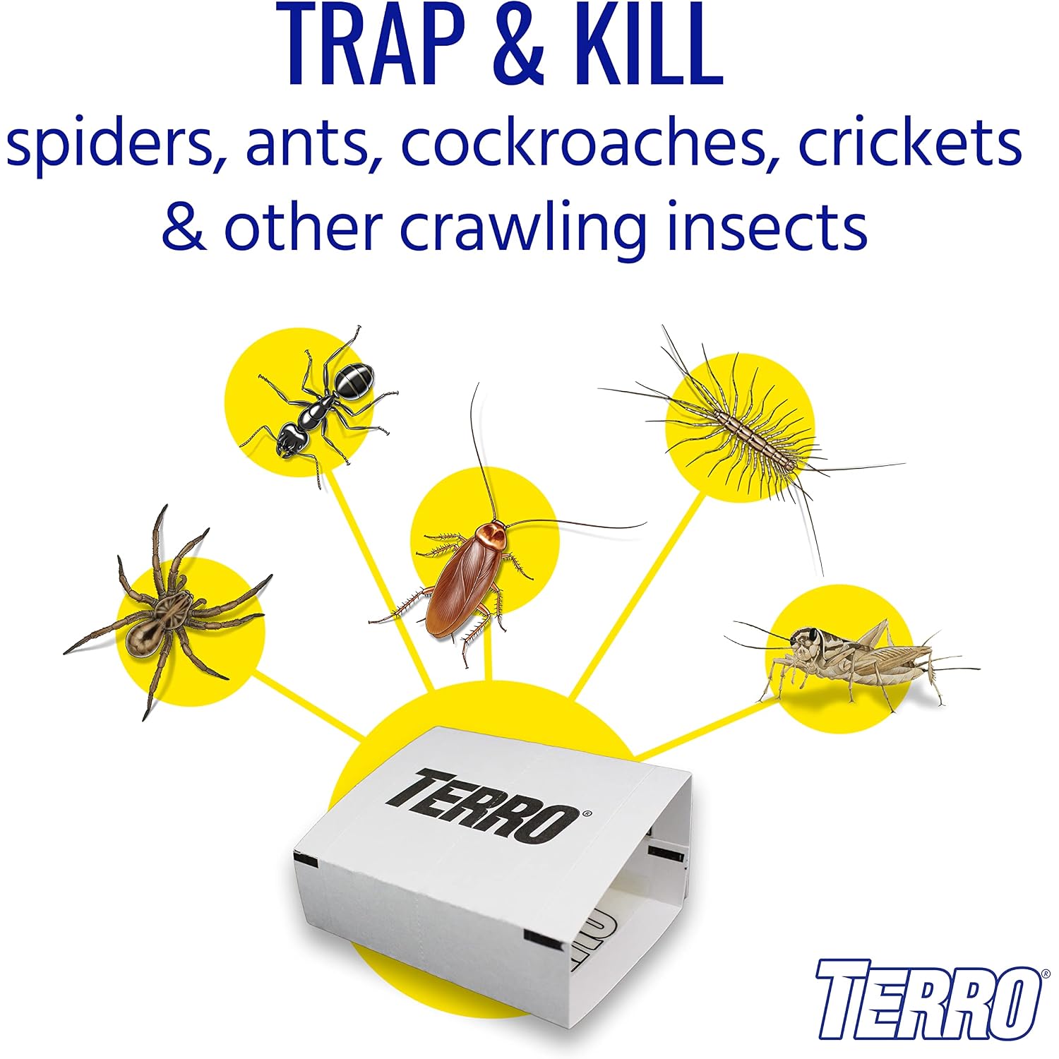 Terro Spider & Insect Trap, 10-Pack Sticky Glue Traps | Kills Roaches, Spiders, Ants, Cockroaches, Crickets, Indoor Bug Catcher Pest Control Traps, 4.25 In X 10 In, T3206-10