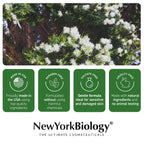 New York Biology Tea Tree Body Wash For Men And Women - Moisturizing Body Wash Helps Soothe The Skin - Refreshing And Hydrating Cleanser For Body And Feet - 16.9 Fl Oz