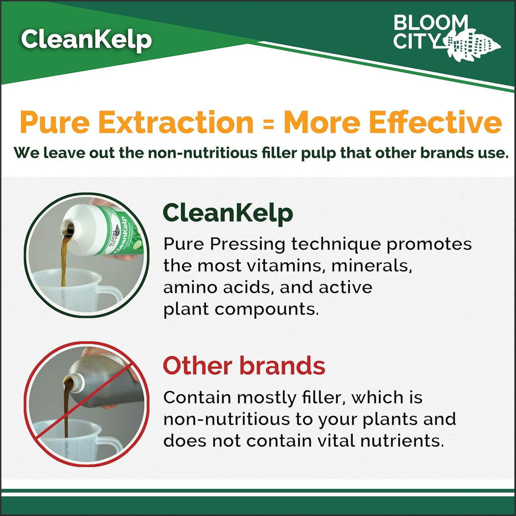Bloom City Seaweed And Kelp Fertilizer – Liquid Seaweed Supplement For Stronger Roots, Faster Growth & Improved Stress Tolerance, 32 Oz