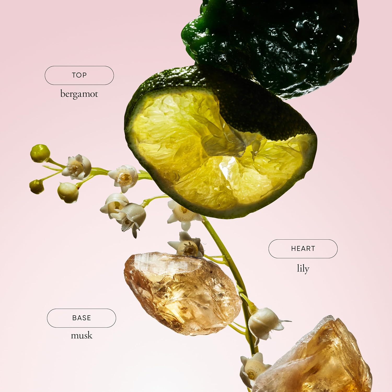 Philosophy Amazing Grace Hydrating Bath & Shower Gels - Efficiently Cleanses, Soothes & Comforts Dry Skin - Vegan Formula