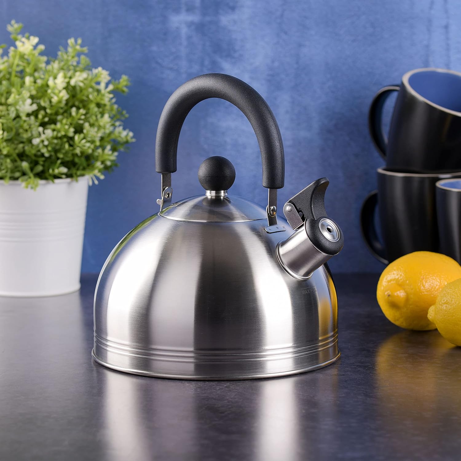 Mr. Coffee Carterton Stainless Steel Whistling Tea Kettle – 1.5-Quart Capacity, Mirror Polish Finish, Durable Tea Kettle for Stovetop, Fast Boiling, Easy Pouring