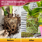 1Qt Orchid Potting Mix For Repotting- Orchid Repotting Kit Include Moss, Pine Bark, Perlite, Coco Peat- Premium Orchid Soil Medium For Indoor Potted Plants Root Ventilation & Expanding