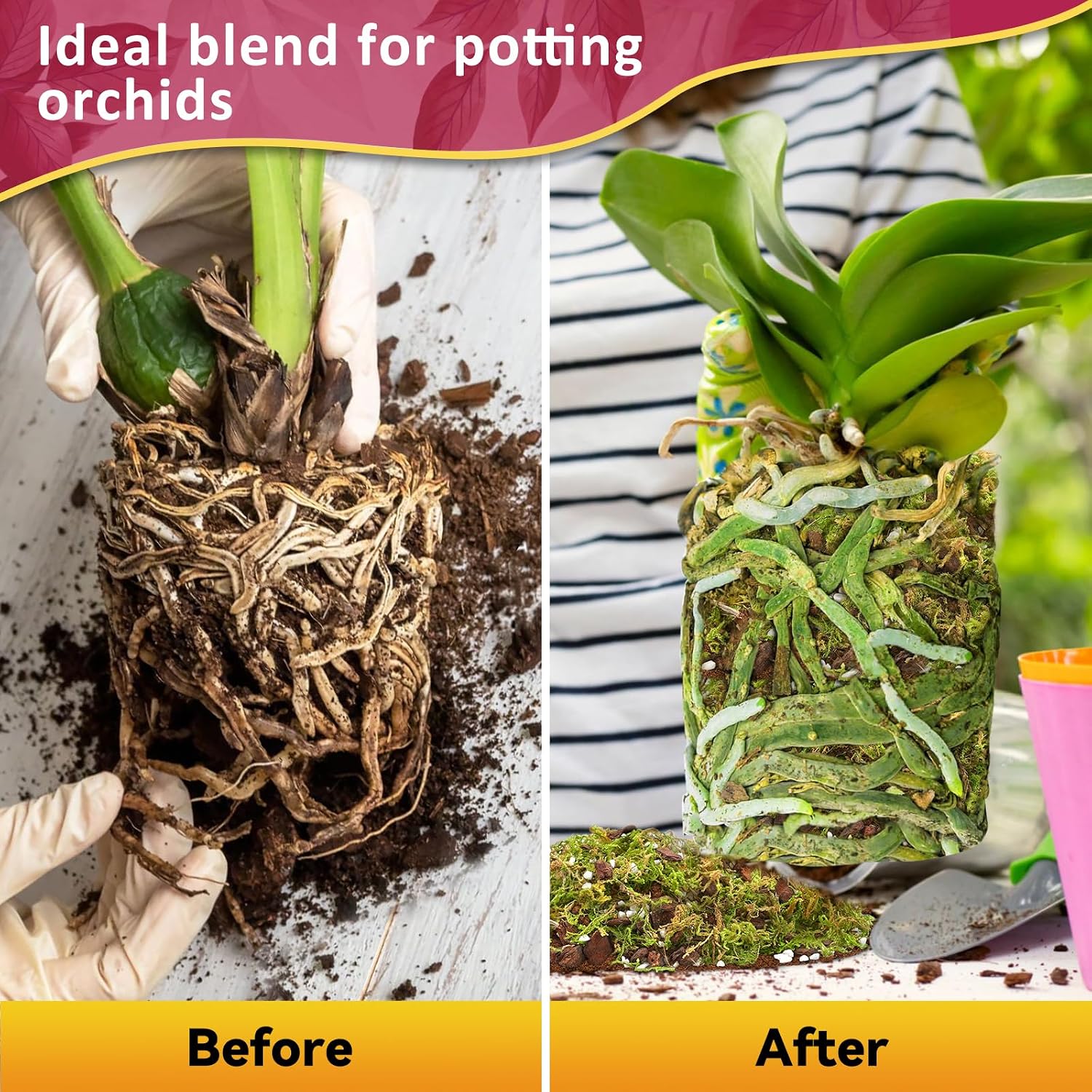 1Qt Orchid Potting Mix For Repotting- Orchid Repotting Kit Include Moss, Pine Bark, Perlite, Coco Peat- Premium Orchid Soil Medium For Indoor Potted Plants Root Ventilation & Expanding