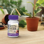 Bonide Bontone Ii Rooting Powder, 1.25 Oz Ready-To-Use Dust For Houseplants And Transplants Speeds Root Development | For Houseplants And Transplants, Speeds Root Development