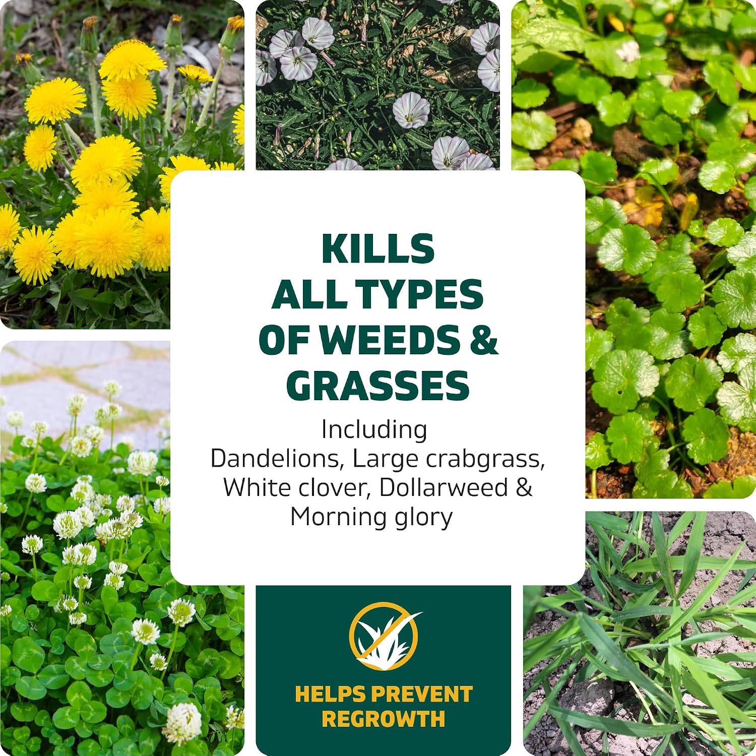 Spruce Weed Killer Refill For Spray Weed & Grass Killer₃ Kit, No Mix, 64 Oz | No Pour, No Mix, No Mess, Pet Safe Weed Spray, Use Around Grass, Driveways & Mulch Beds, Kills Dandelions, Crabgrass & More