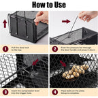 2 Pack Humane Rat Traps 12.5"X5.5"X4.5", Reusable Mouse Traps For Indoor/Outdoor Use, No-Kill Live Capture For Chipmunks, Rats, Mice