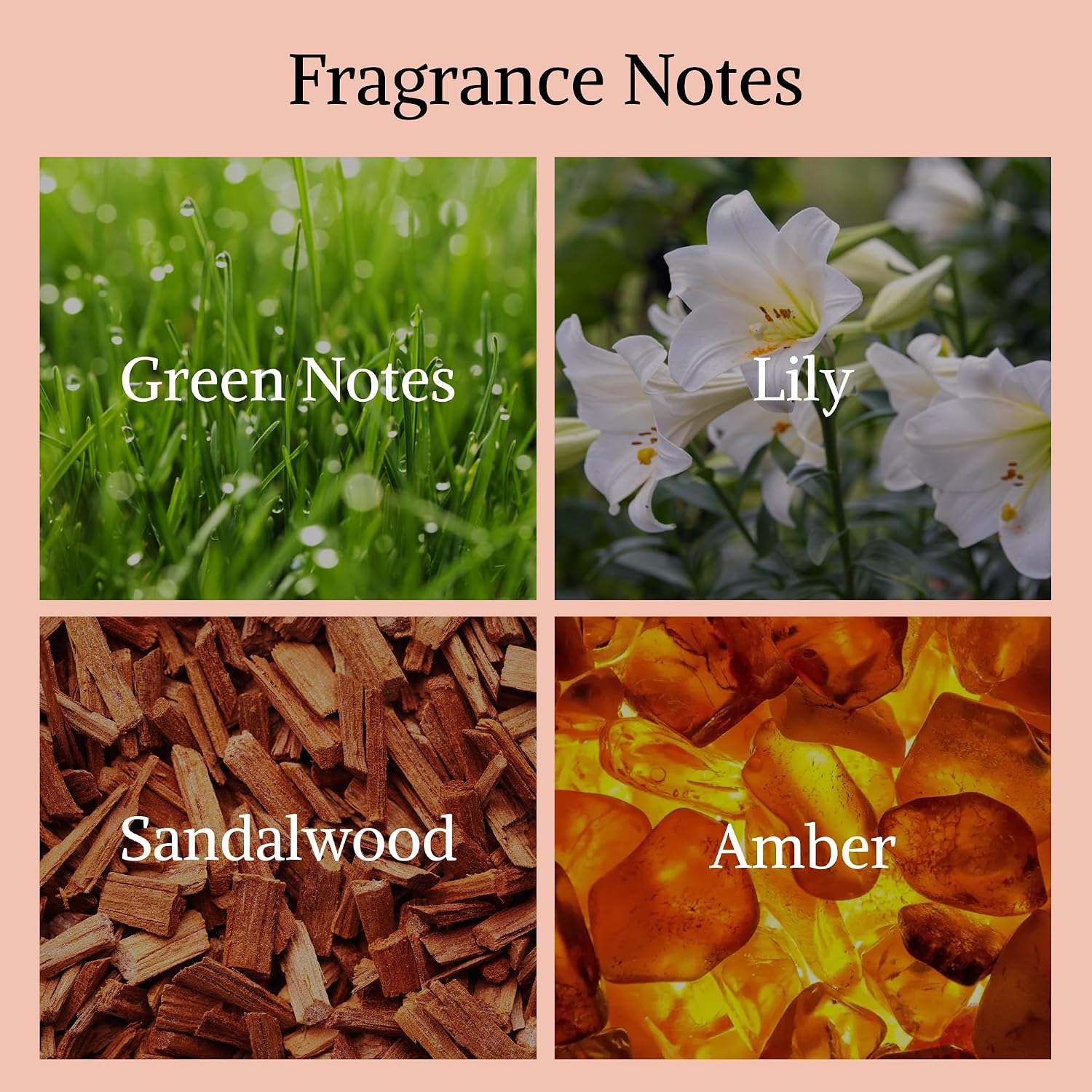 Without End For Women Inspired By Eternity, Fresh Floral Perfume, 3.4 Oz | Notes Of Freesia, Lily, Rose, Jasmine, Sandalwood, Musk. Clean Floral Scent For Everyday Wear. Long Lasting Edp. 100Ml