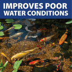 The Pond Guy Instafix Algae Control Liquid Algaecide, 16 Ounce | Epa Registered Algae Solution For Outdoor Water Gardens, Fountains & Birdbaths; Controls Green Water & String Algae